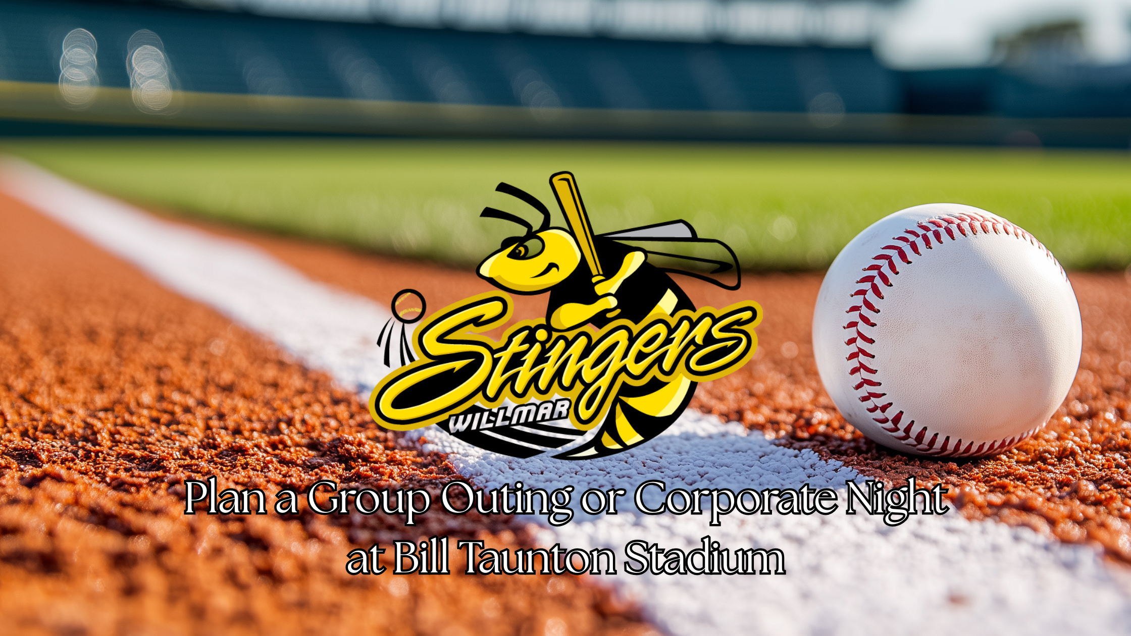 Willmar Stingers Are Back - Blog Cover
